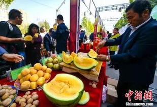 世界最新吃瓜事件,最新“吃瓜”事件揭秘，真相令人咋舌！