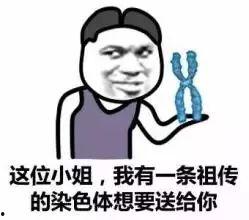 吃瓜撩妹话语,轻松驾驭恋爱场